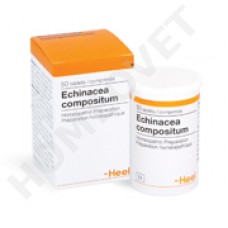 Heel Echinacea comp. H Tierhomöopathie Homeovet
